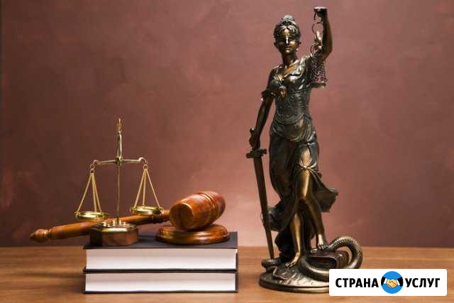 Госзакупки. Подряд. Квалифицированно Киров - изображение 1