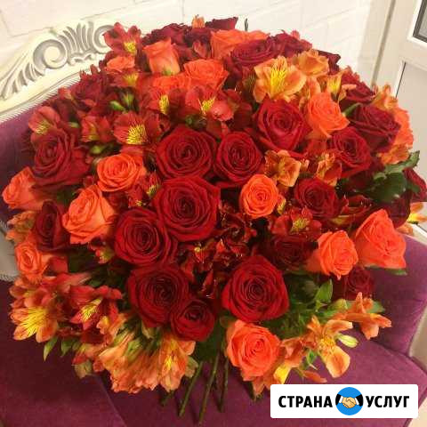 Розы Баксан - изображение 1
