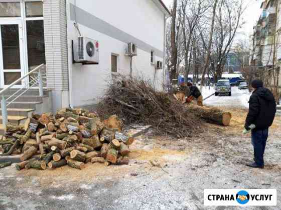 Валка деревьев профессионально Ростов-на-Дону
