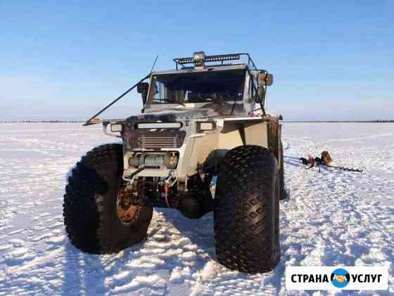 Сдам в Аренду вездеход трэкол спецтехника Тундра Новый Уренгой