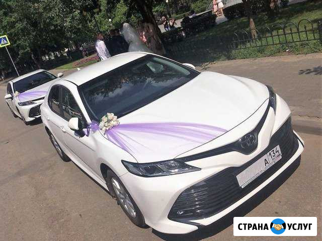 Машины на свадьбу кортежи украшения прокат Волгоград - изображение 1