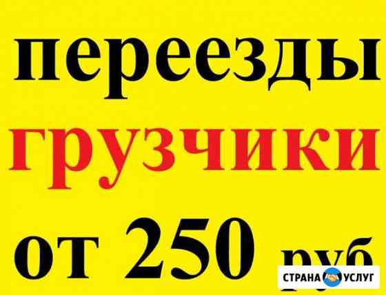 Грузчики Владимир