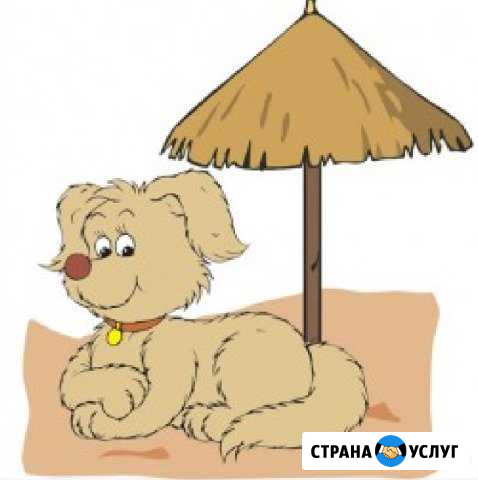 Передержка гостиница отель для Собак Красногорск - изображение 1