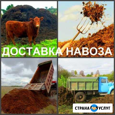 Перегной,навоз с доставкой Моршанск - изображение 1