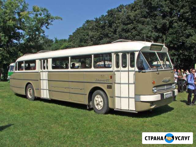 Пассажирские и грузовые перовозки до 20 мест Балашиха - изображение 1