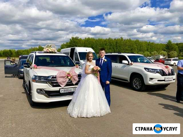 Пассажирские перевозки Свадебный кортеж аэропорт т Краснодар - изображение 1