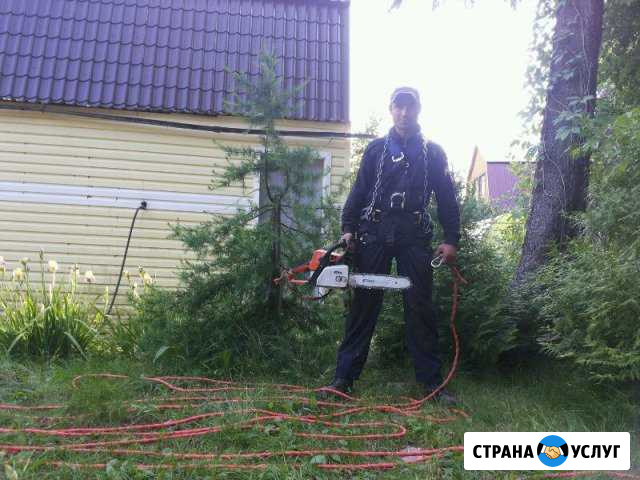 Спилим деревья любой сложности Новочебоксарск - изображение 1