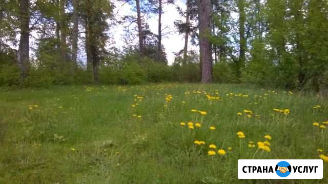Вспашка земли Бузулук - изображение 1