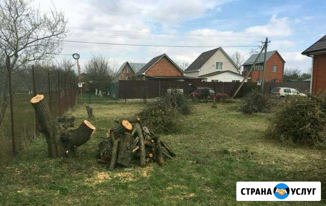 Расчистка дачных участков,спил,копка,вывоз Волгоград - изображение 1