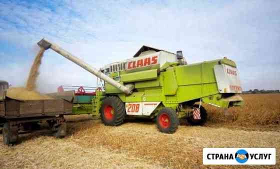 Уборка урожая сои комбайнами Claas Mega Краснодар