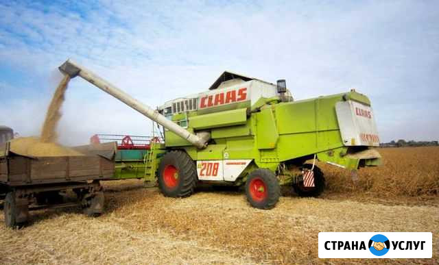 Уборка урожая сои комбайнами Claas Mega Краснодар - изображение 1