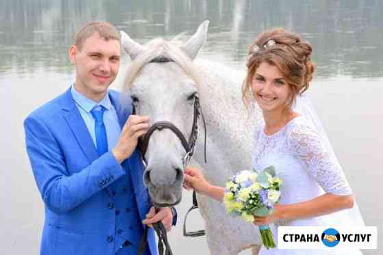 Свадебный фотограф и видеограф Новокузнецк