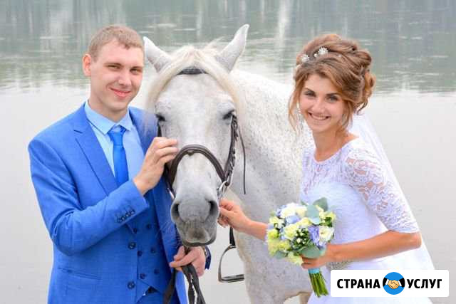Свадебный фотограф и видеограф Новокузнецк - изображение 1