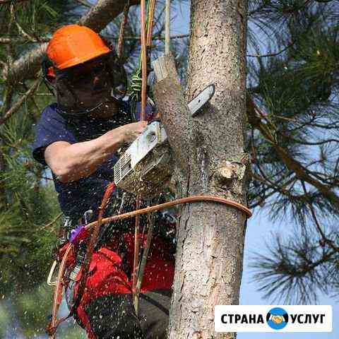 Спил деревьев Тихорецк