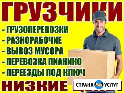 Грузчики,переезды,вывоз мусора,разнорабочи Елец - изображение 1