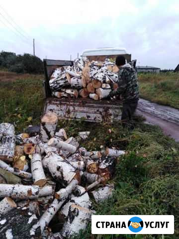 Продам дрова Копейск - изображение 1