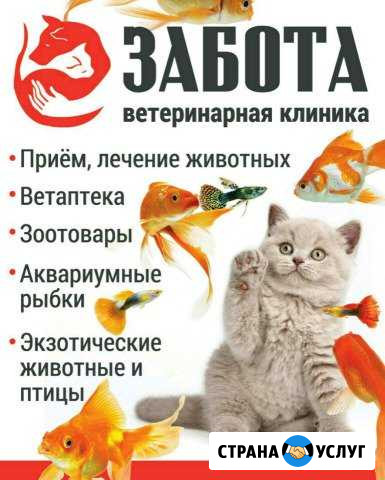 Ветеринарная клиника Забота Югорск - изображение 1