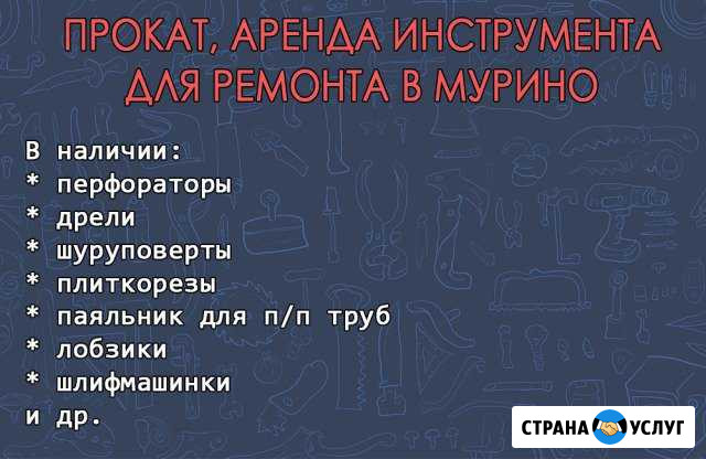 Прокат, аренда инструмента для ремонта в Мурино Санкт-Петербург - изображение 1