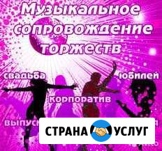 Музыкальное сопровождение праздников Будённовск - изображение 1