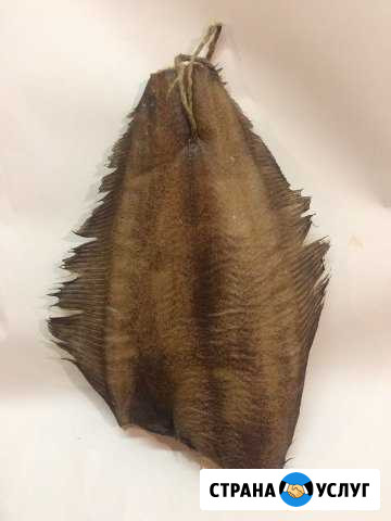 Переработка копчение посол рыбы Москва - изображение 1