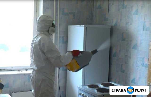 Дезинфекция Нижневартовск Нижневартовск - изображение 1