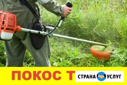 Покос травы.Вспашка.Спил деревьев+Уборка+Корчевани Ульяновск - изображение 1