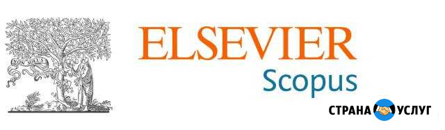 Публикация статей в scopus и WEB of science Белгород - изображение 1