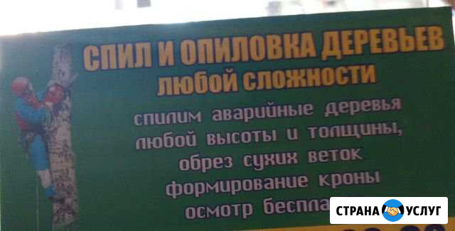 Спил и опиловка деревьев любой сложности Безенчук - изображение 1