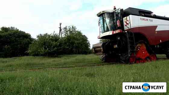 Уборка риса, Сои, Подсолнечника Кукурузы Пятигорск