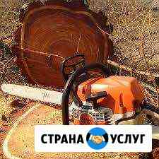 Спил И обрезка деревьев С вывозом.автовышка Таганрог