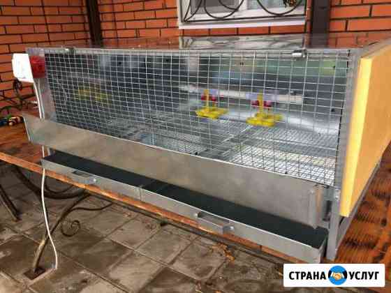 Брудеры для выращивания цыплят Подольск
