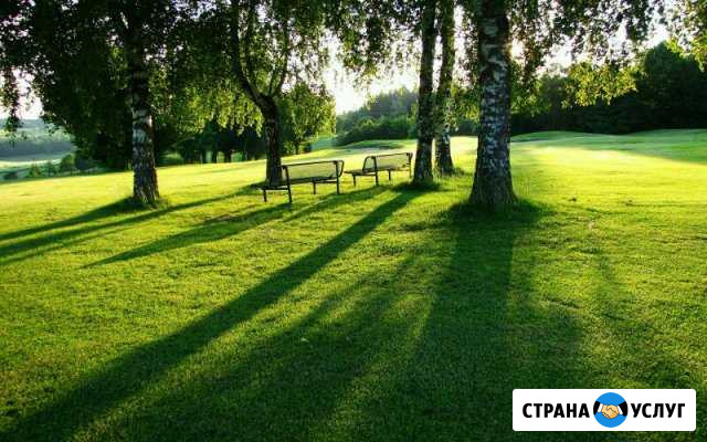 Покос травы Варениковская - изображение 1