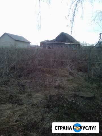 Спил деревьев, снос построек, расчистка участков Саранск - изображение 1