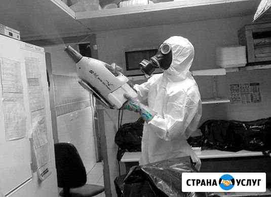 Услуги дезинфекции с гарантией Тверь