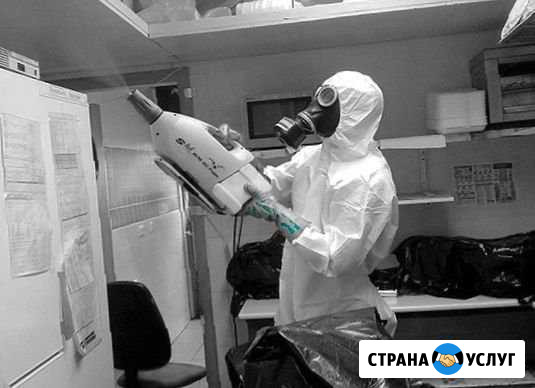 Услуги дезинфекции с гарантией Тверь - изображение 1