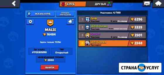 Услуги Тренера по Brawl Stars Таганрог