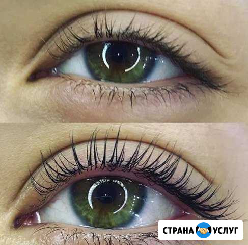 Ламинирование ресниц и бровей Бердск - изображение 1