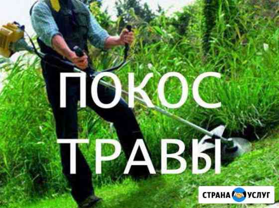 Покос,Вспашка, газон,расчистка Оренбург