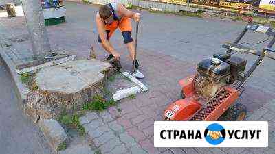 Спил деревьев,фрезеровка пней Ростов-на-Дону