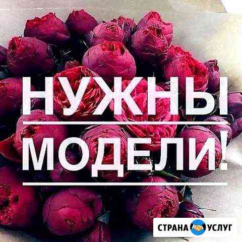 Нужны модели Сургут
