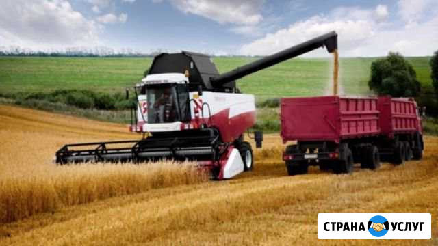 Уборка урожая Маркс - изображение 1
