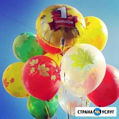 Воздушные шары Дубна Дубна - изображение 1