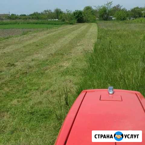 Расчистка от дкр Покос (Мульчер) Северская - изображение 1