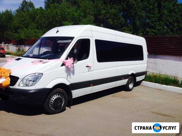 Пасажирские перевозки Новомосковск - изображение 1