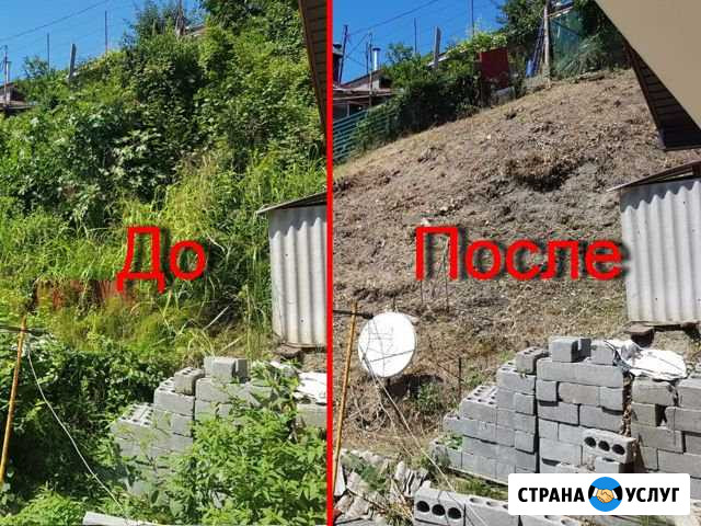 Спил деревьев, покос травы, расчистка участка Сочи - изображение 1