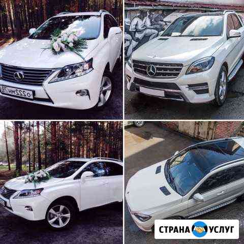 Прокат авто на свадьбу и торжества Mercedes’s и Le Томск