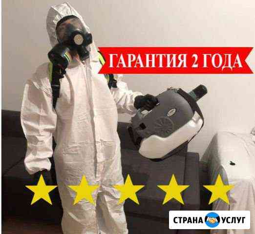 Травля тараканов, клопов, блох Батайск
