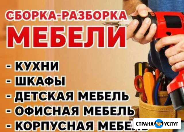 Сборка и установка корпусной мебели Усть-Лабинск - изображение 1