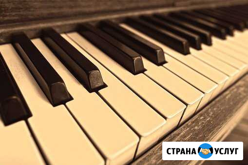 Уроки фортепиано,синтезатор,сольфеджио,вокал Новокузнецк - изображение 1