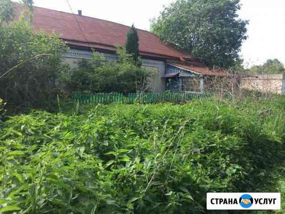 Покос травы Тула